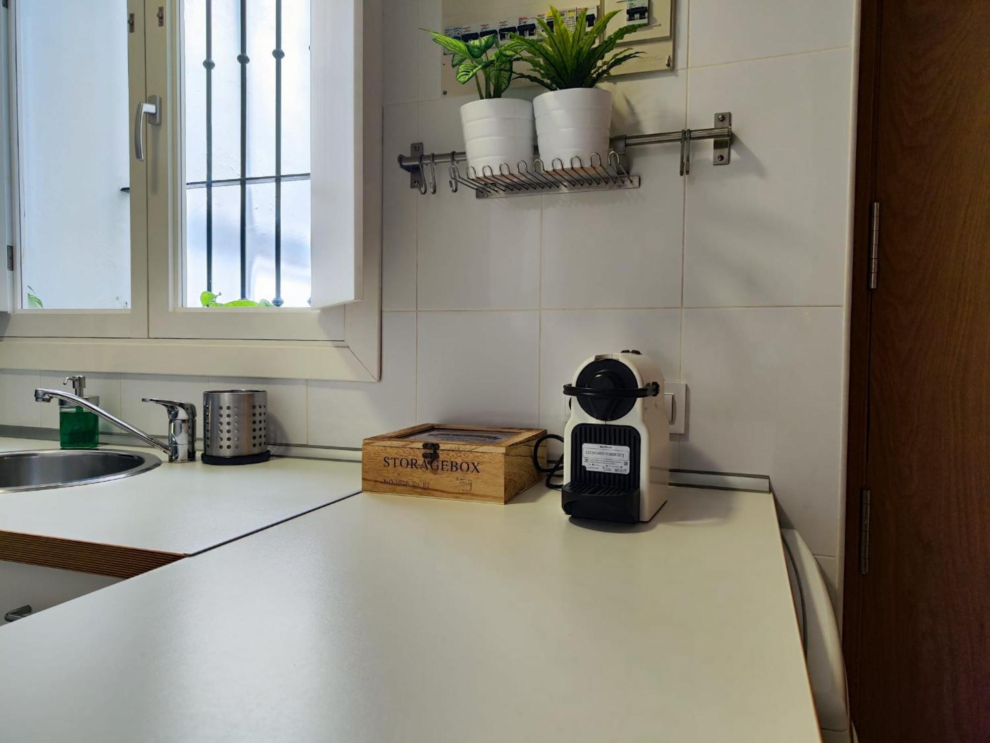Suite Del Mercado Little Apartments كاديز المظهر الخارجي الصورة